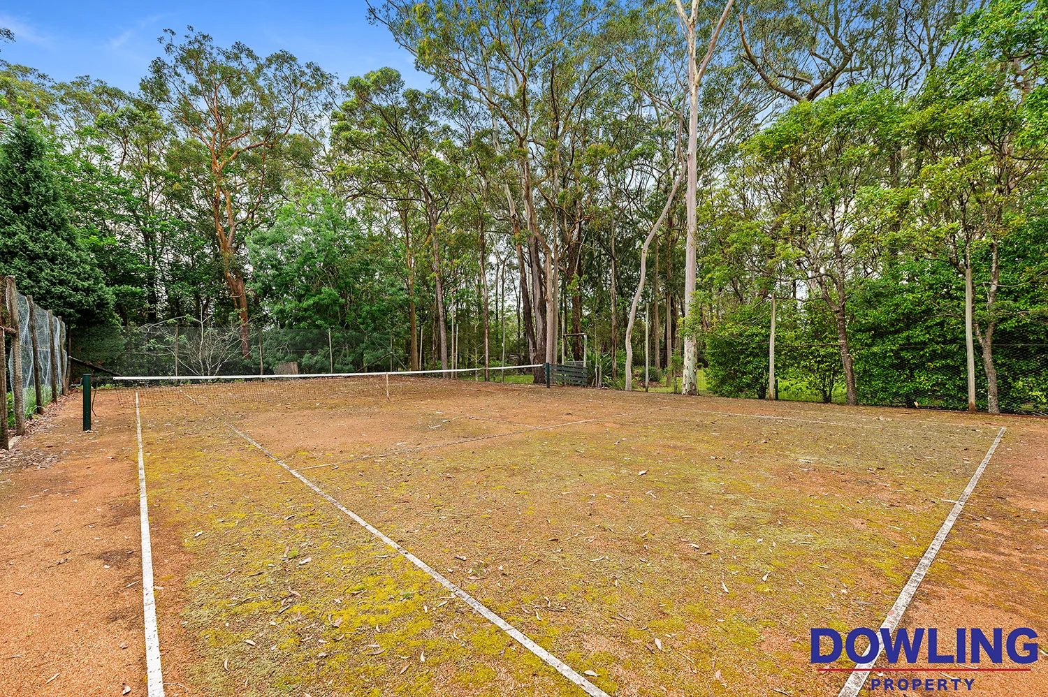 Additional image 14 of 11 Boyd Bvd, Medowie NSW 2318