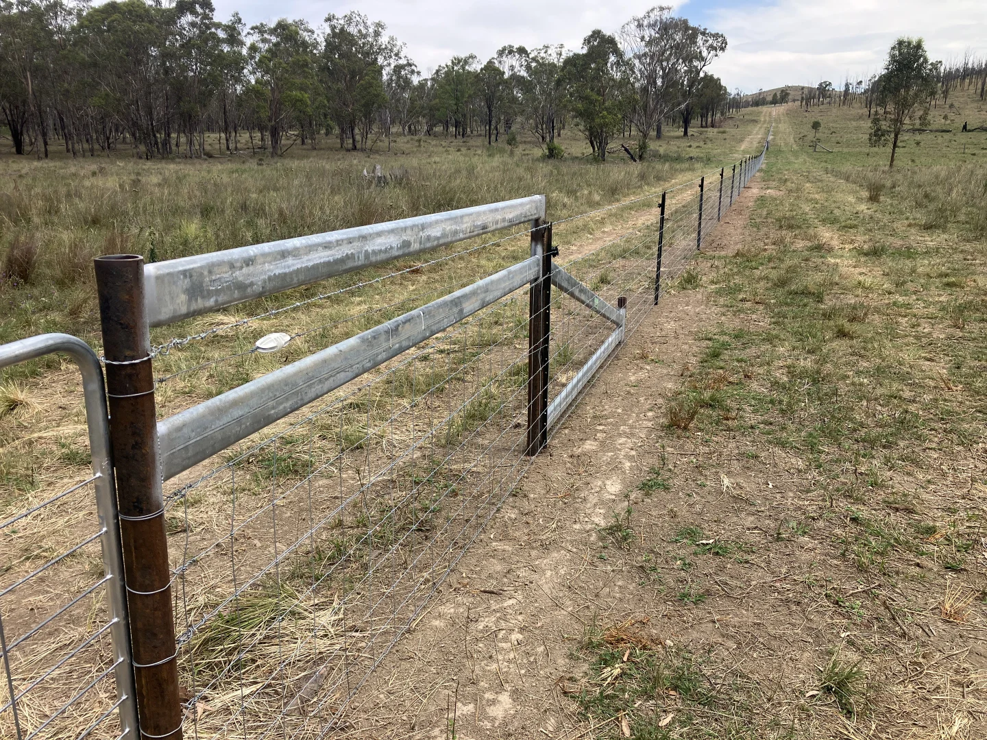 Image 10