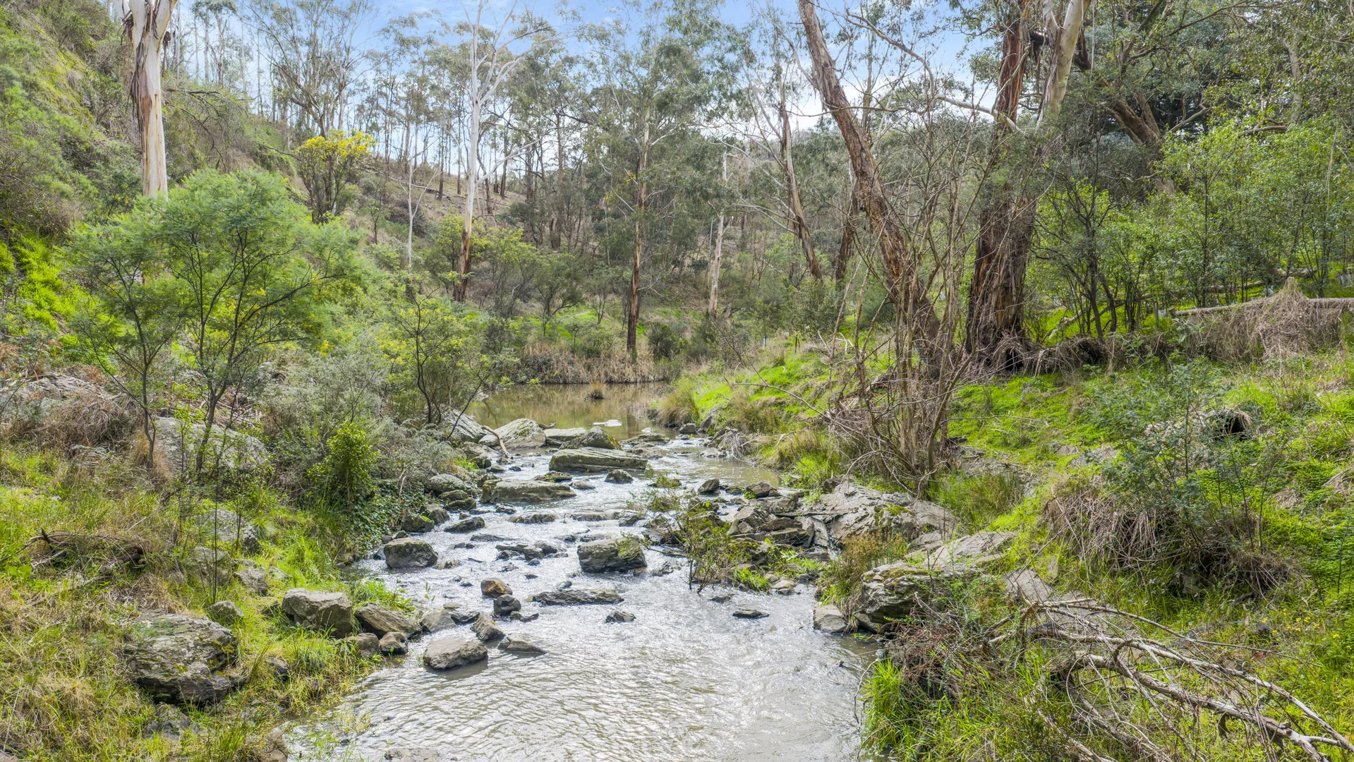 Image 13
