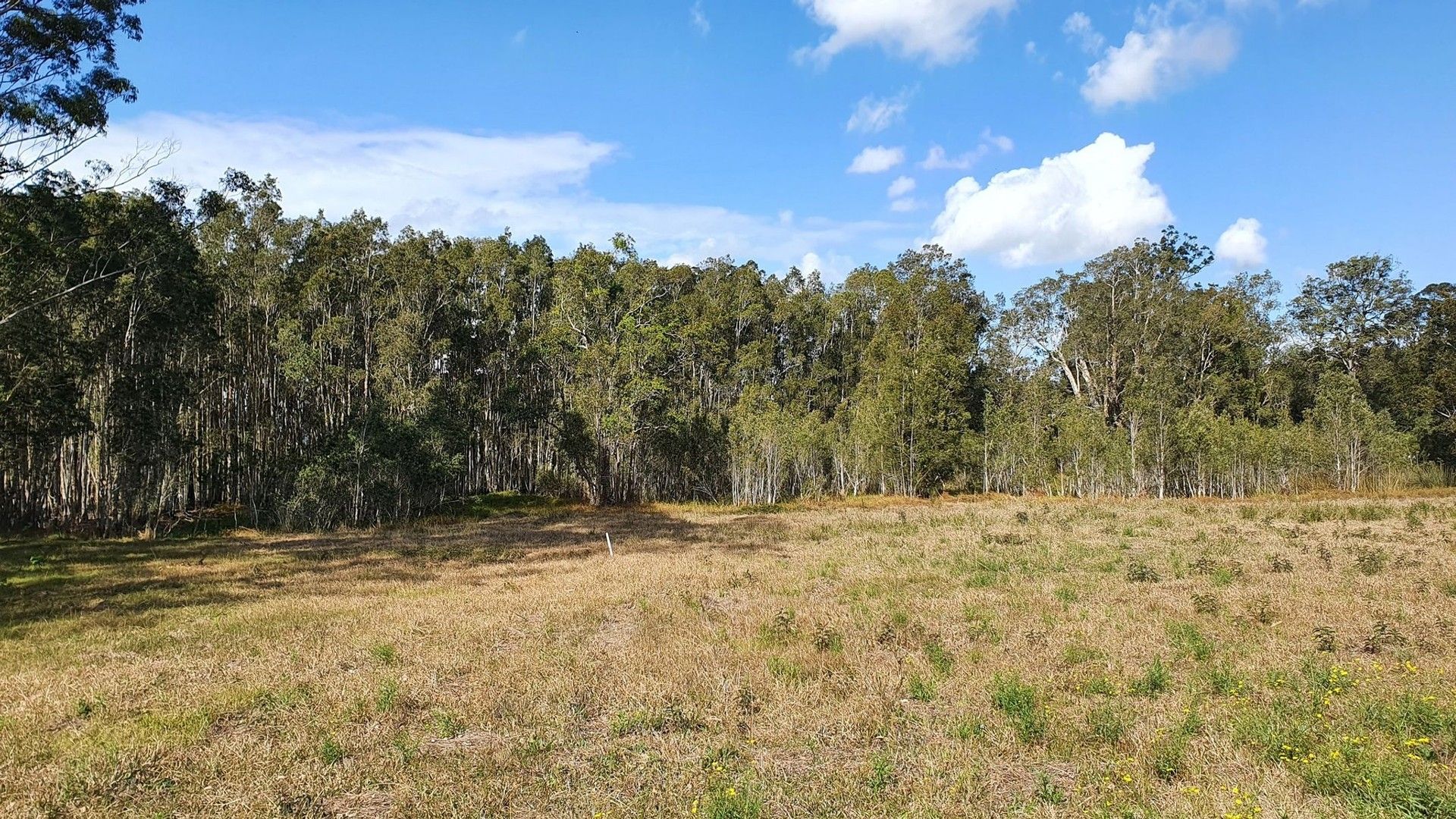 James Creek NSW 2463, Image 0