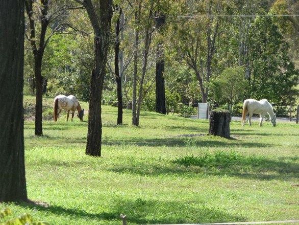 Placid Hills QLD 4343, Image 2