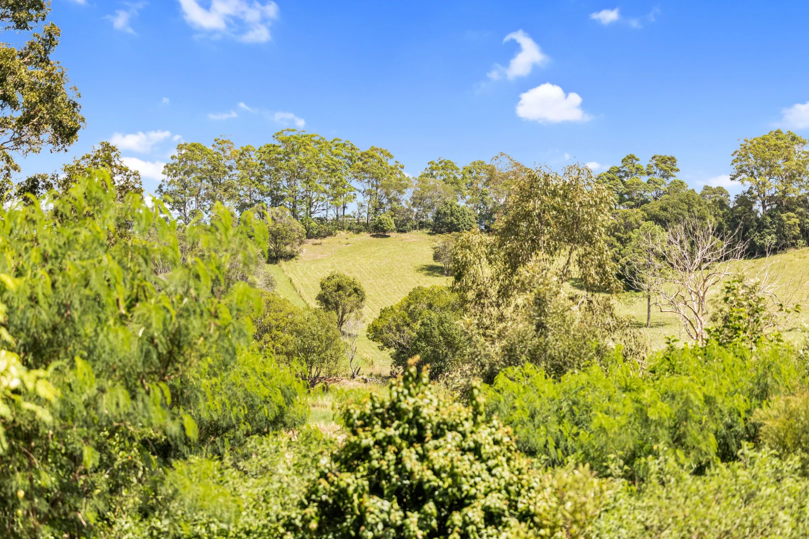 Additional image 17 of 38 Winterleigh Way, Greens Creek QLD 4570
