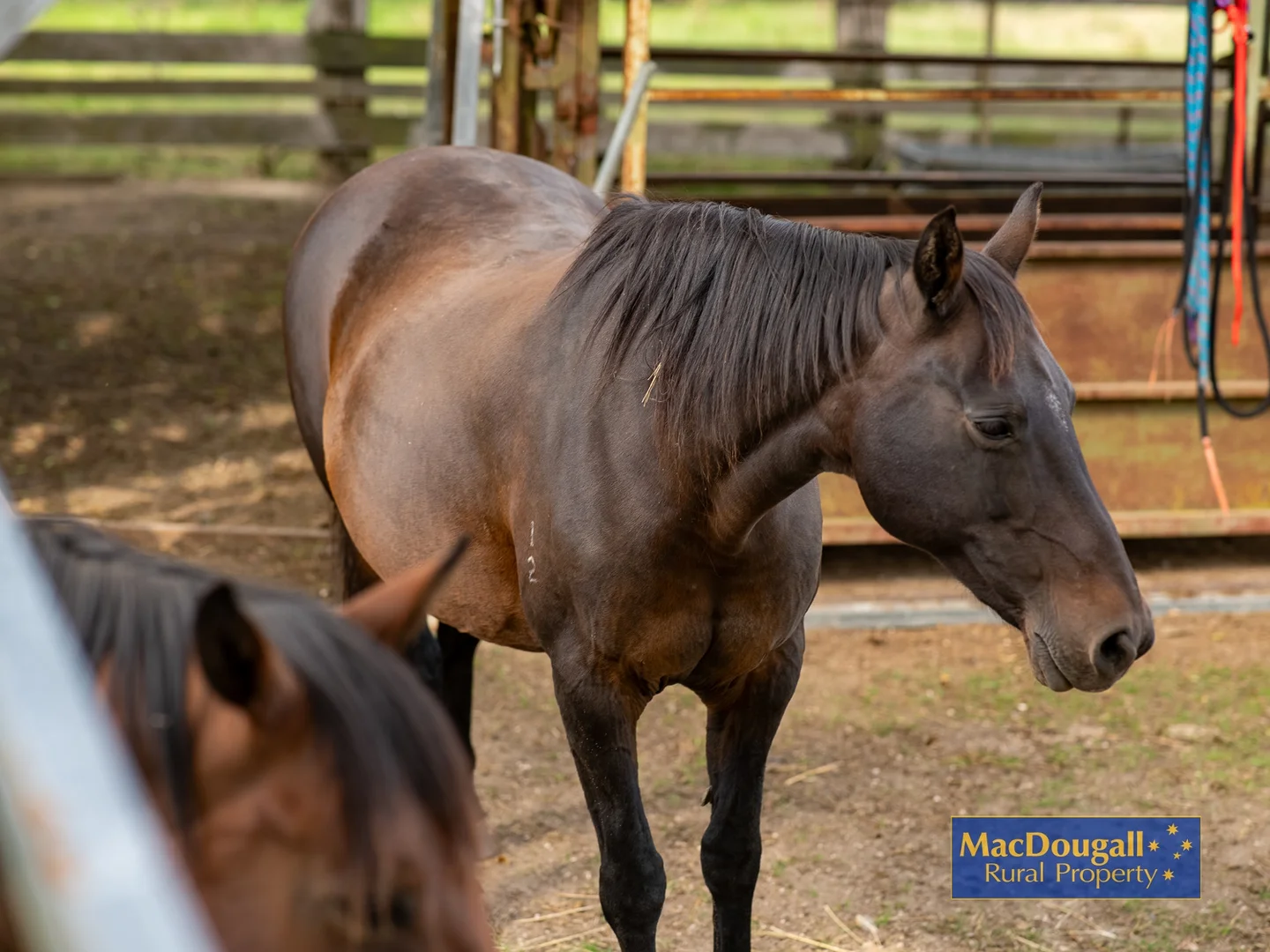 Additional image 23 of 6832 New England Highway, Kentucky NSW 2354