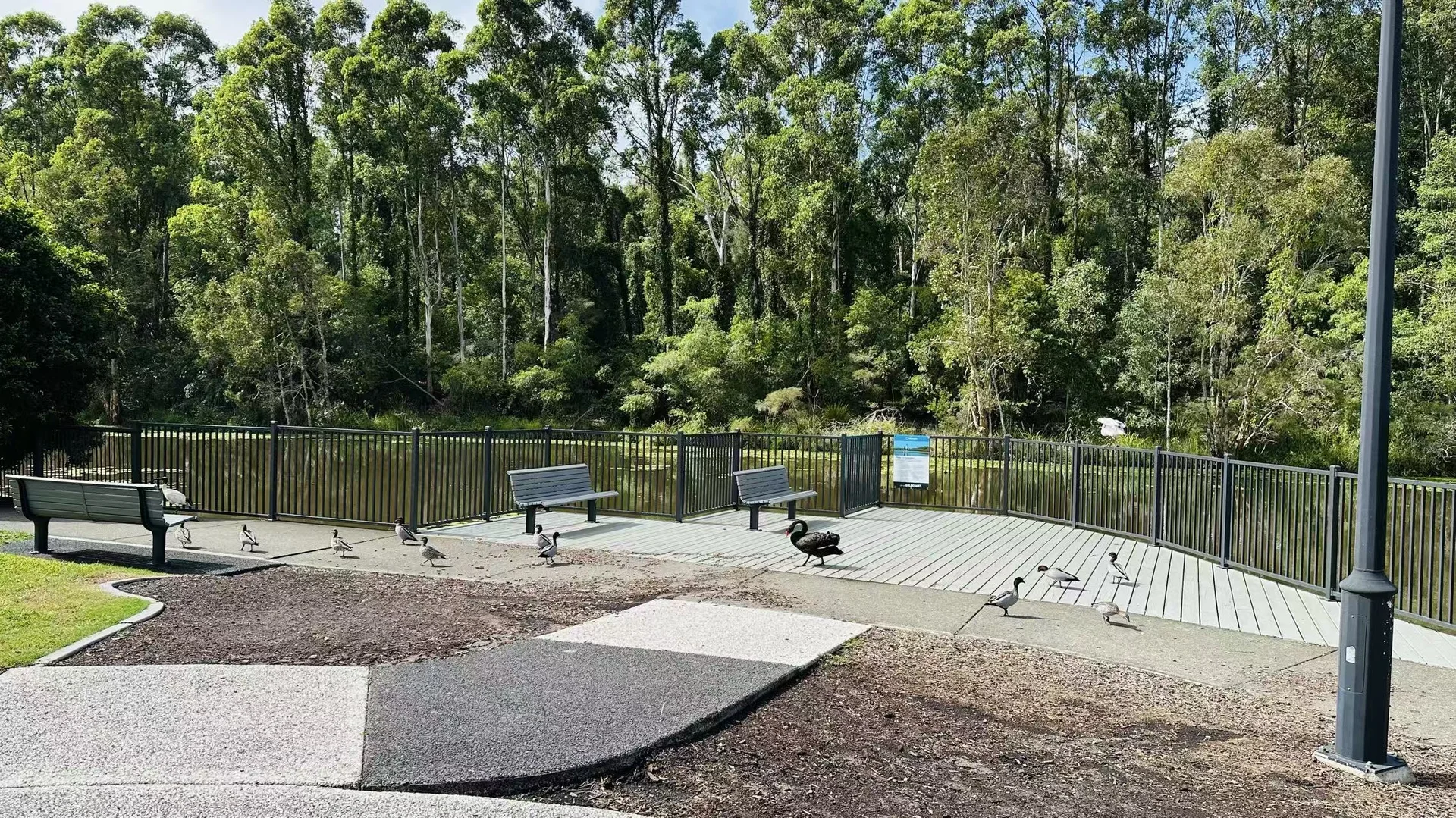 Image 12