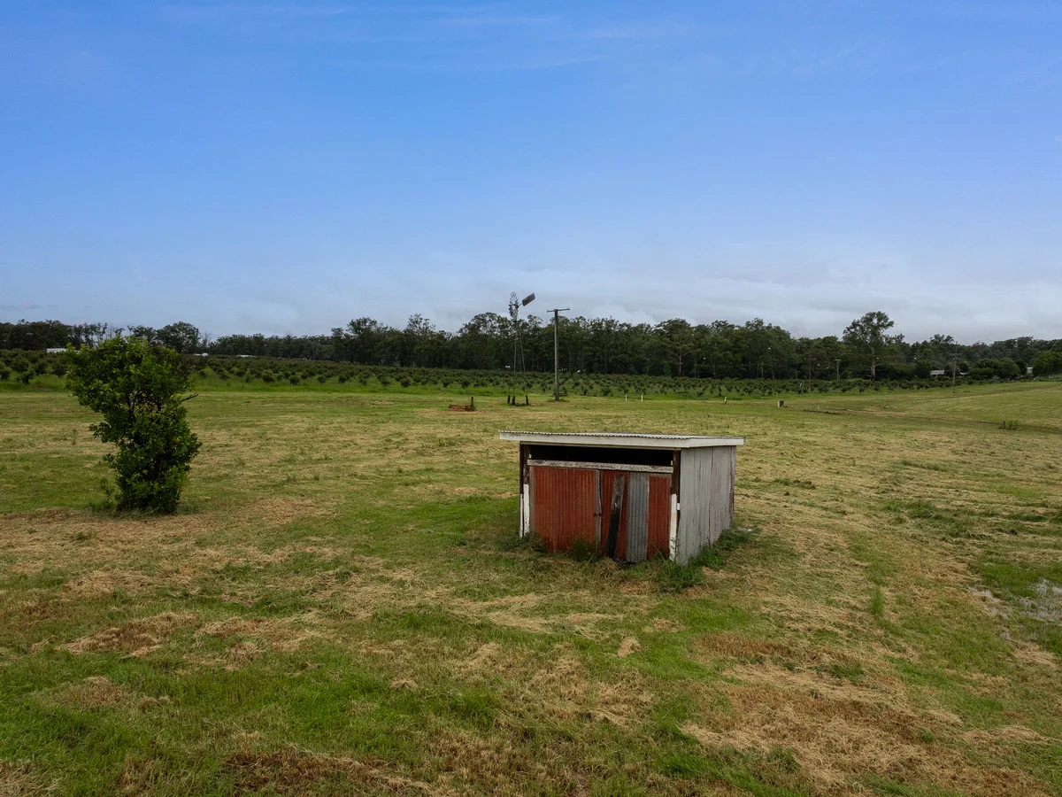 Image 7