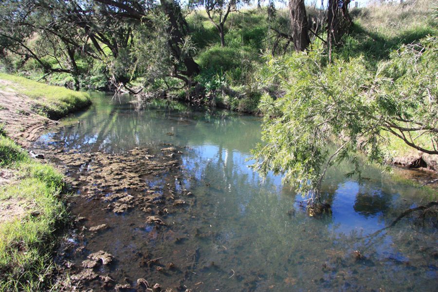 Tansey QLD 4601, Image 1