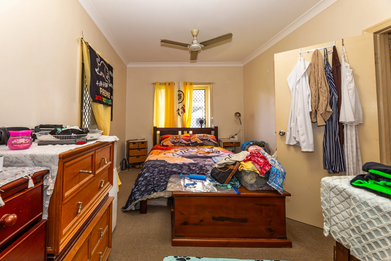 Image 12