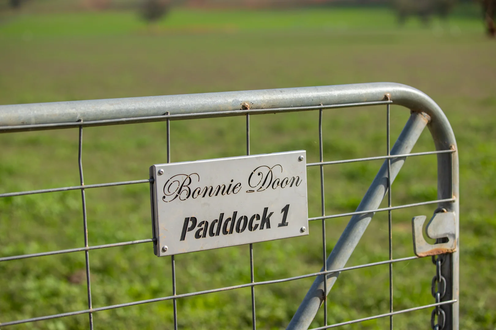 Additional image 7 of 1948 Coach Road, Morven NSW 2660