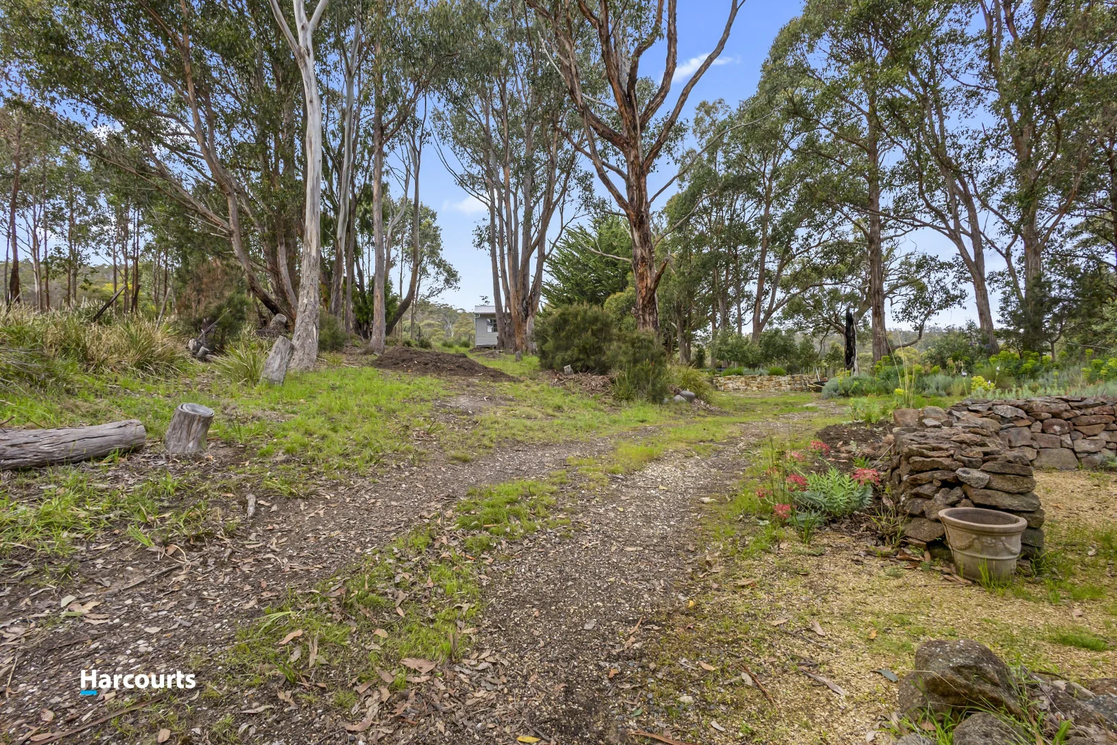 Image 15