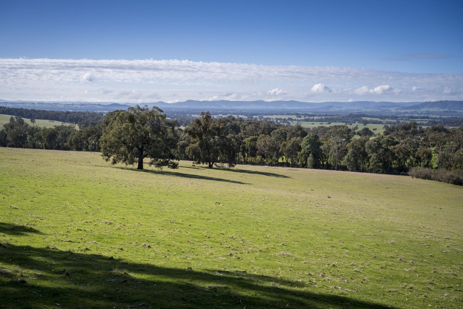 CA79 Police Track, Lima VIC 3673, Image 0