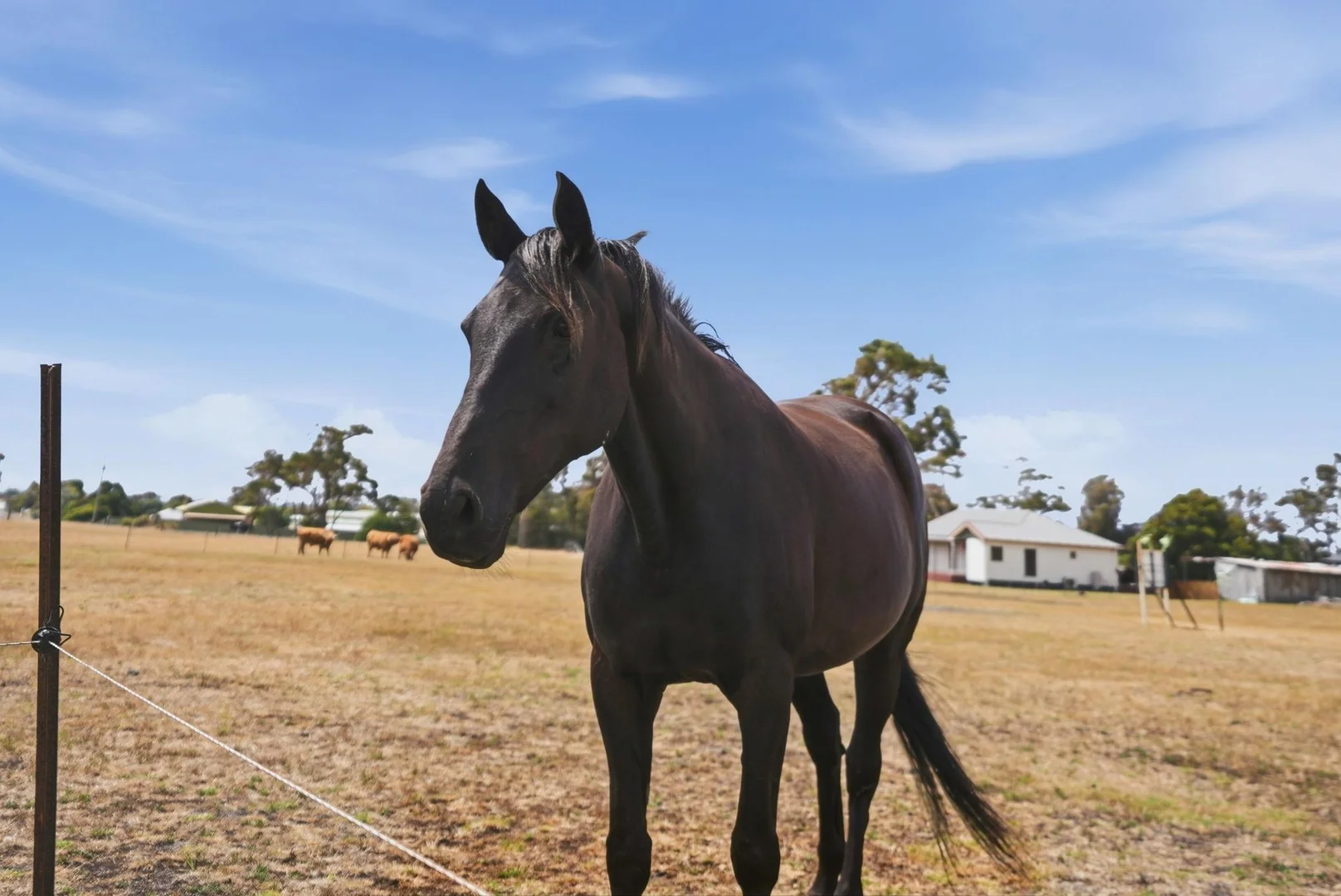 Additional image 10 of 23A Ada Street, Bridport TAS 7262