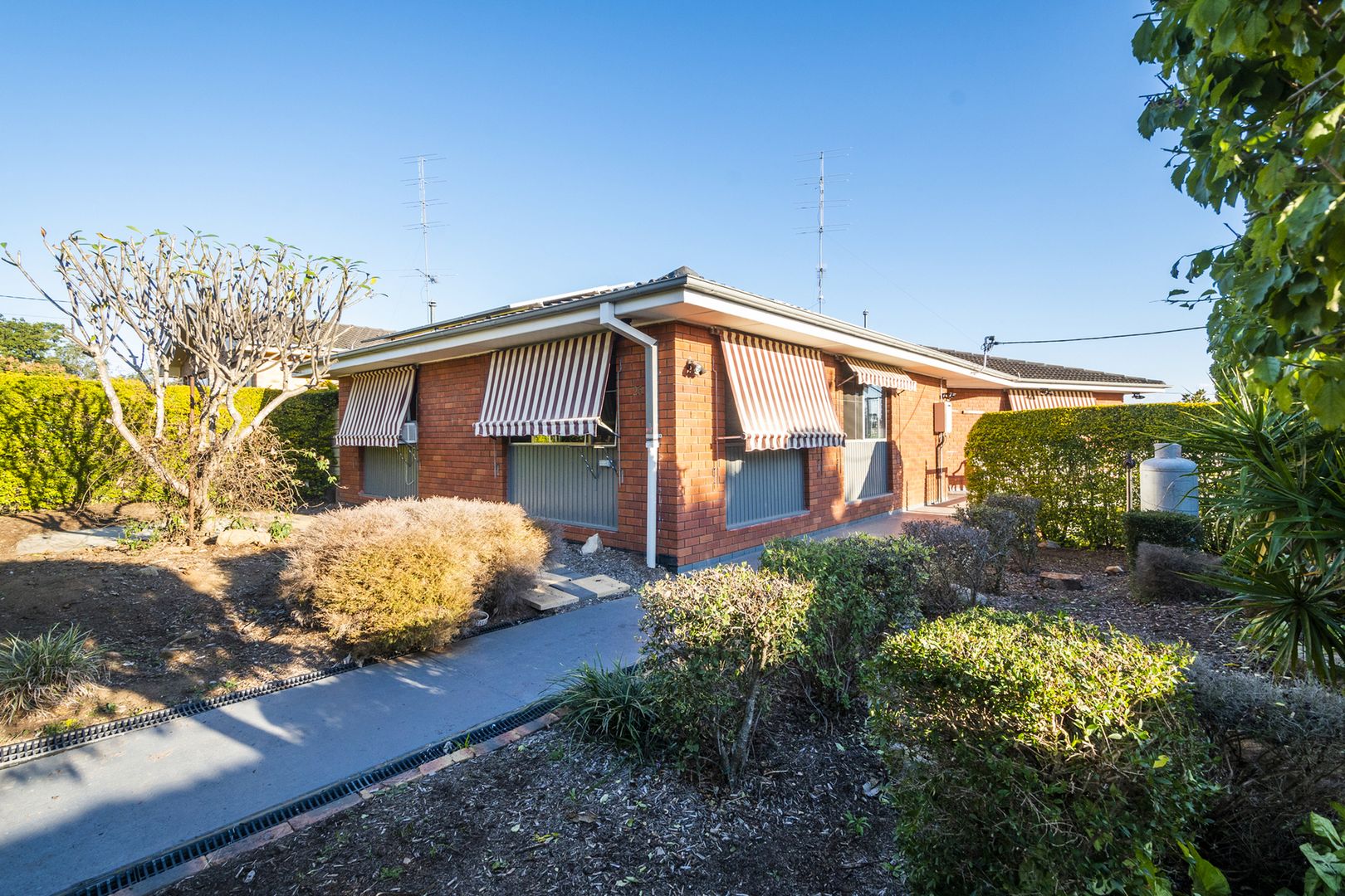 26 Blanch Parade, South Grafton NSW 2460 House For Rent Domain