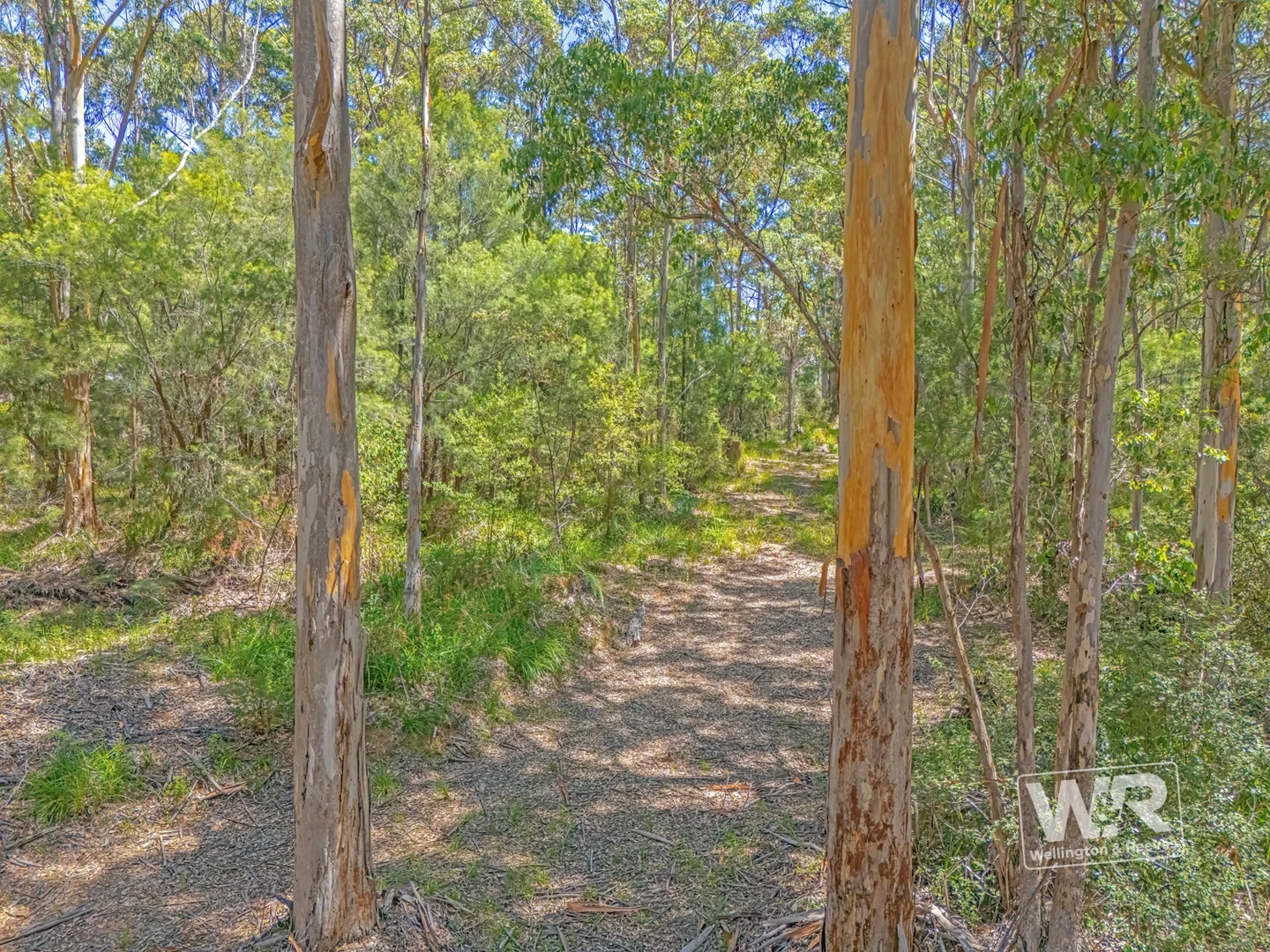 Additional image 4 of Shadforth WA 6333