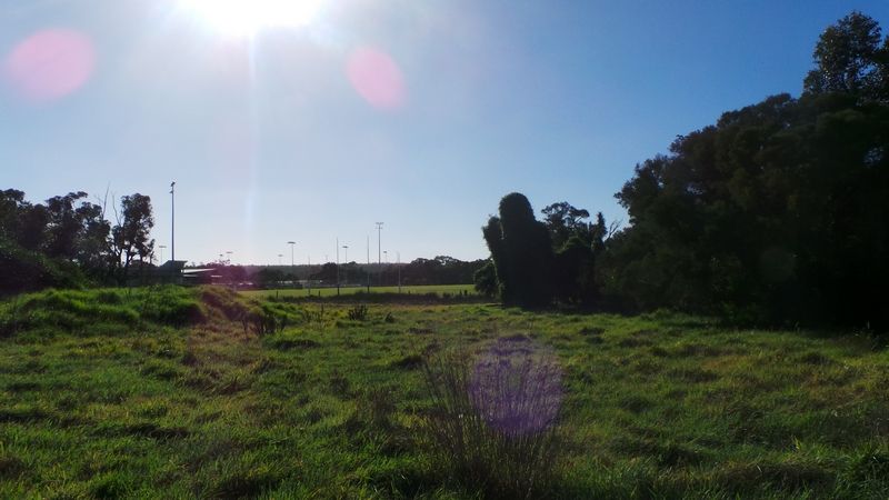 Lot 5 Cooper Road, Mount Barker WA 6324, Image 0