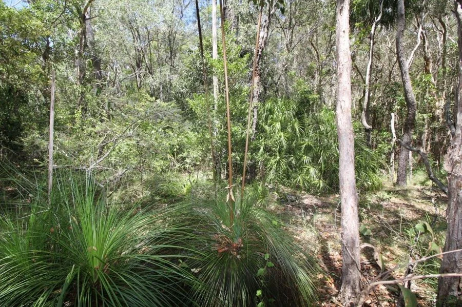 Image 11