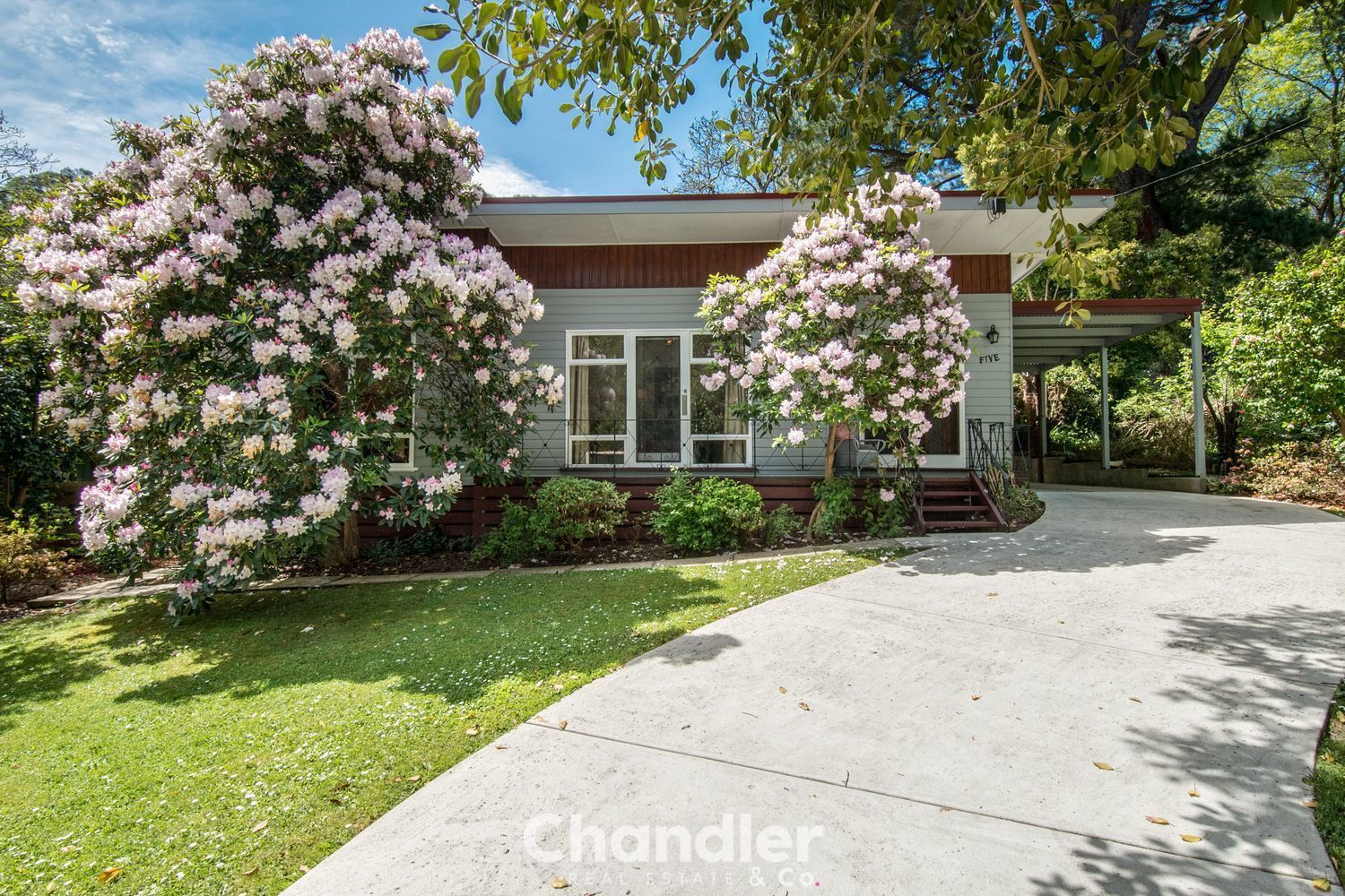 5 Blackwood Street, Tecoma VIC 3160, Image 0