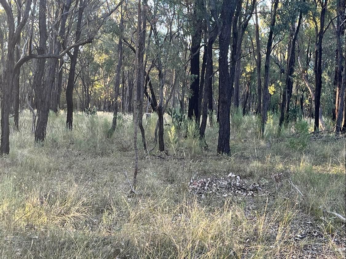 Lot 1 Cunningham Highway, Gore QLD 4352, Image 1