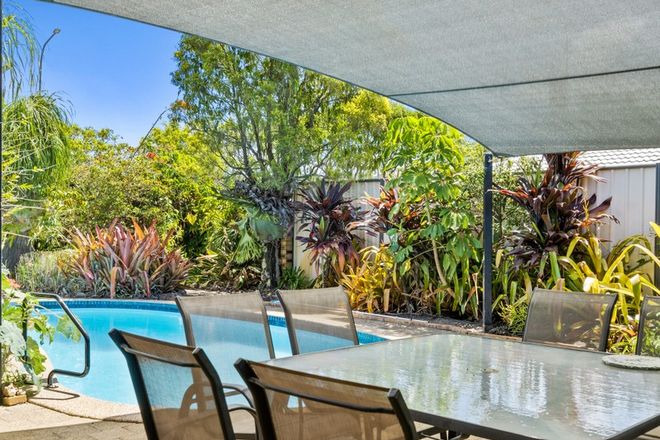 65 K P Mcgrath Drive Elanora 4221 - Image 3