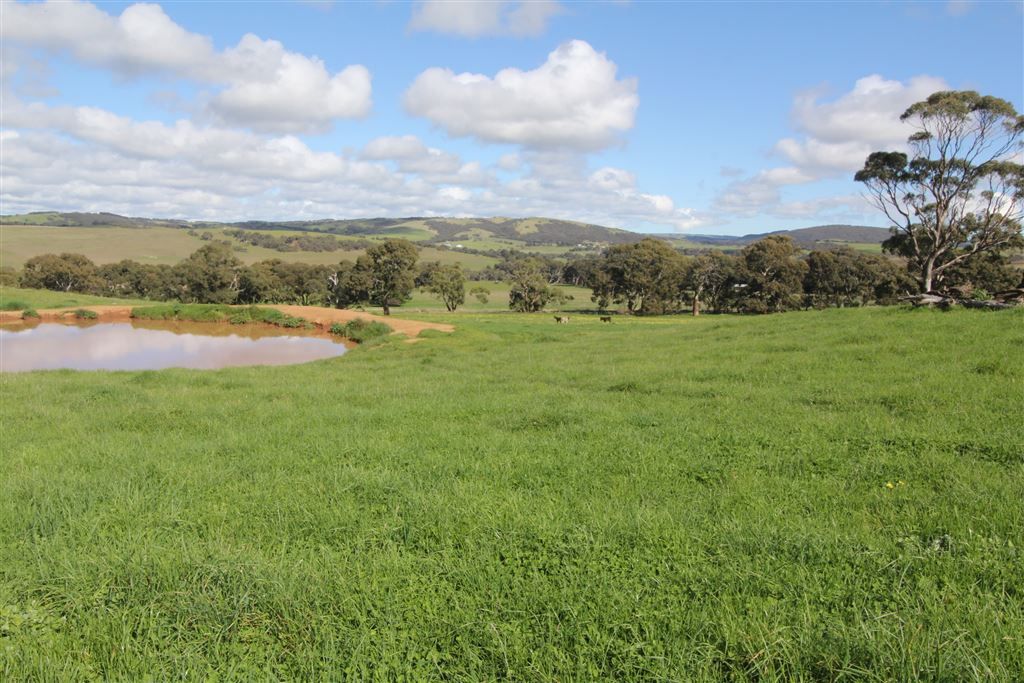 2363 Bull Creek Road, Tooperang SA 5255, Image 0