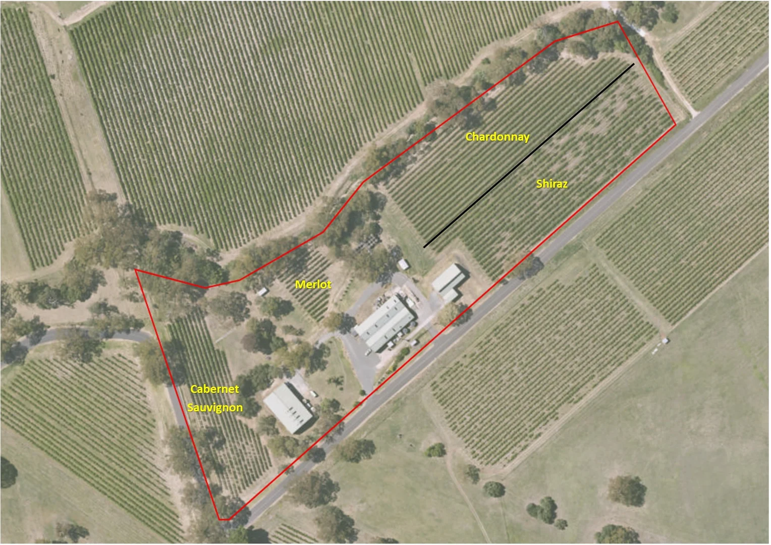 Image 21