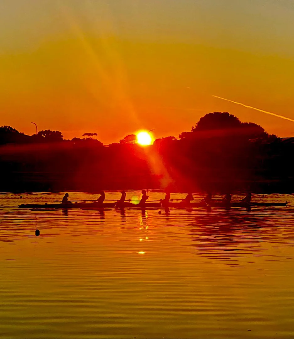 Additional image 17 of 8 Janette Place, Grange SA 5022