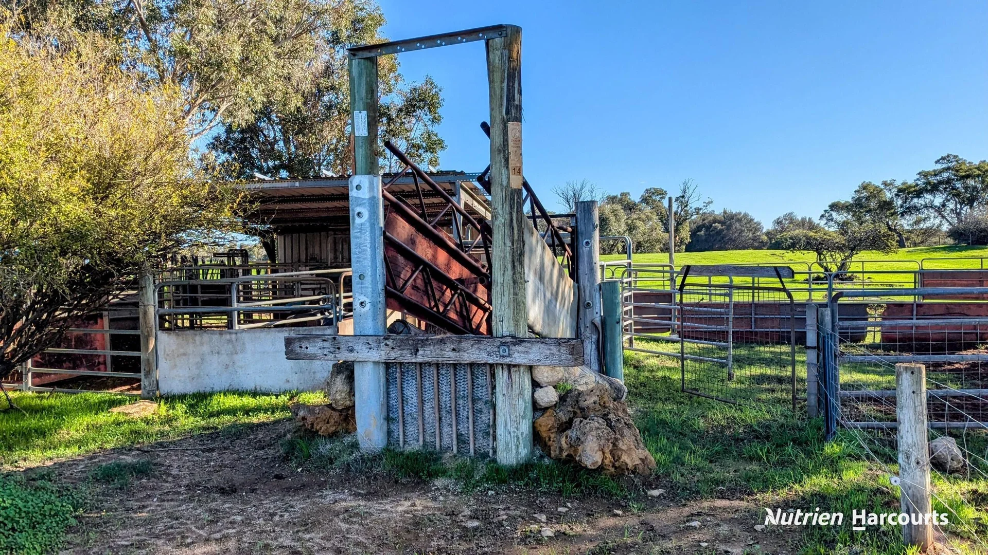 Image 12