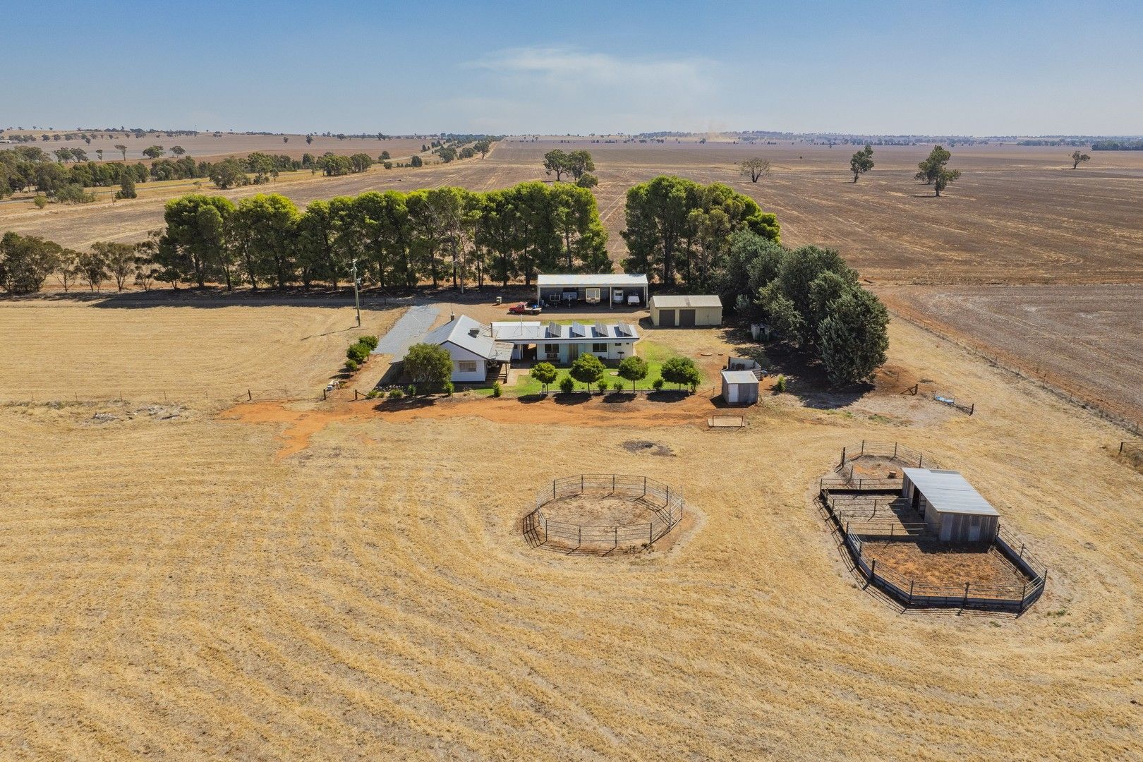 799 Hodges Lane, Marrar NSW 2652, Image 0