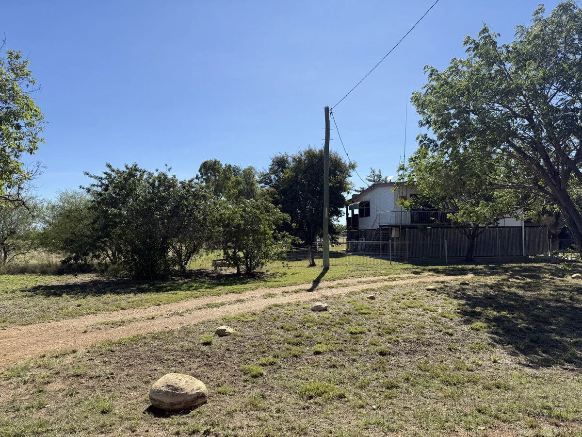 Image 28