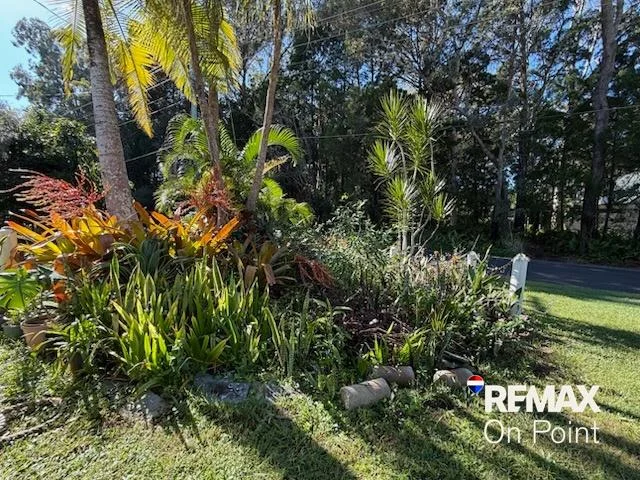 Image 13