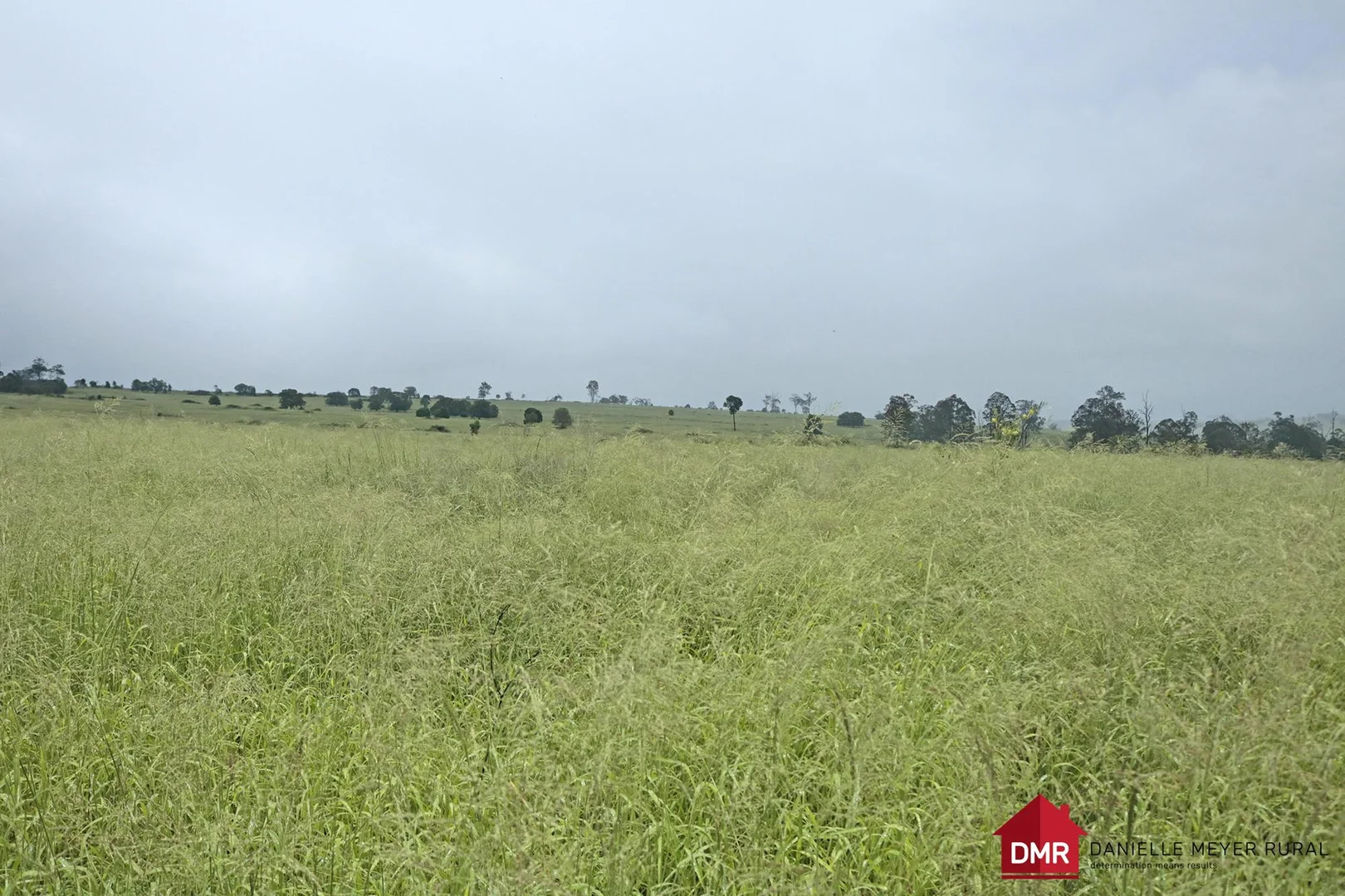 Additional image 15 of 271 McLaughlans Road, Monto QLD 4630