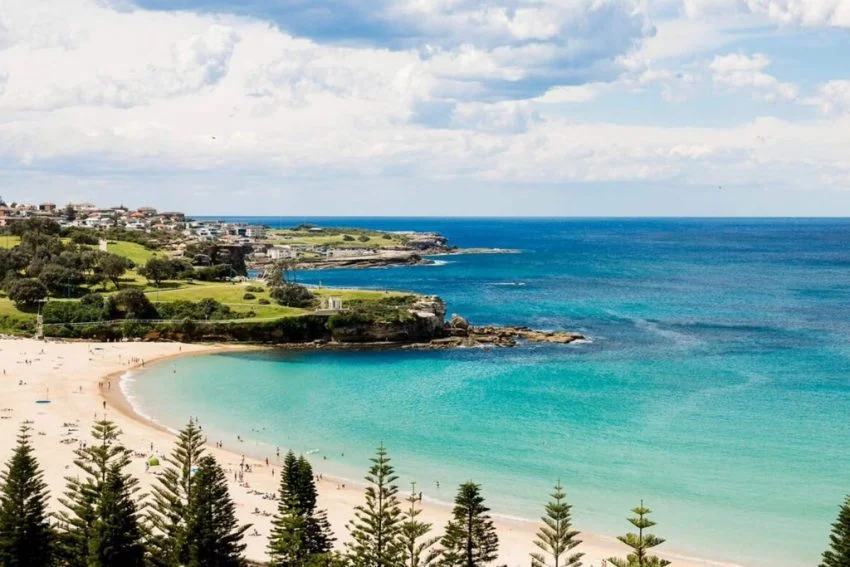 Additional image 21 of 814/5 Finch Drive, Pagewood NSW 2035