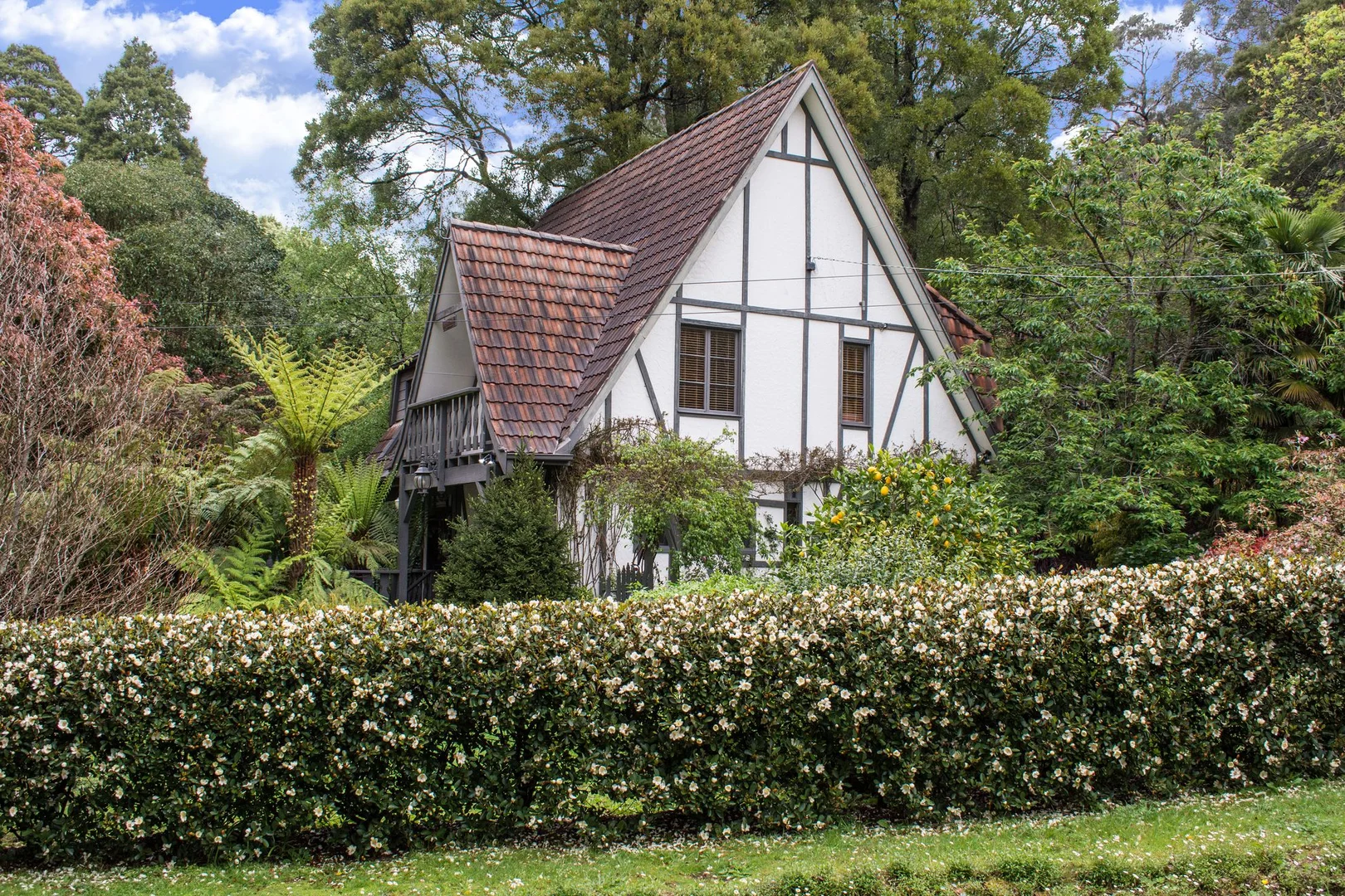 Additional image 31 of 22 Owen Street, Kallista VIC 3791