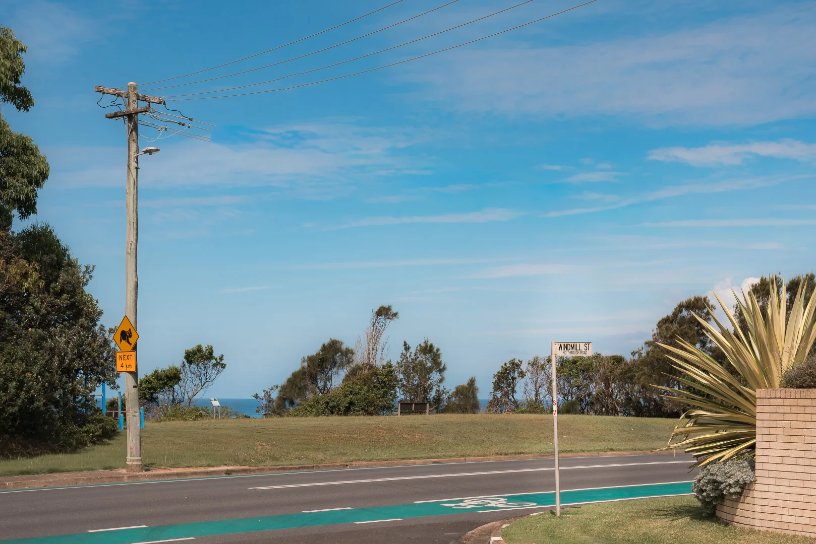 Image 15