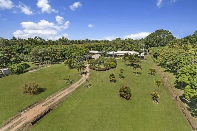 Picture of 136 Toolakea Beach Road, BLUEWATER QLD 4818