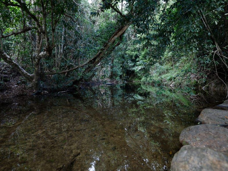 445 Gray Road, Green Hill QLD 4865 House for Sale Domain