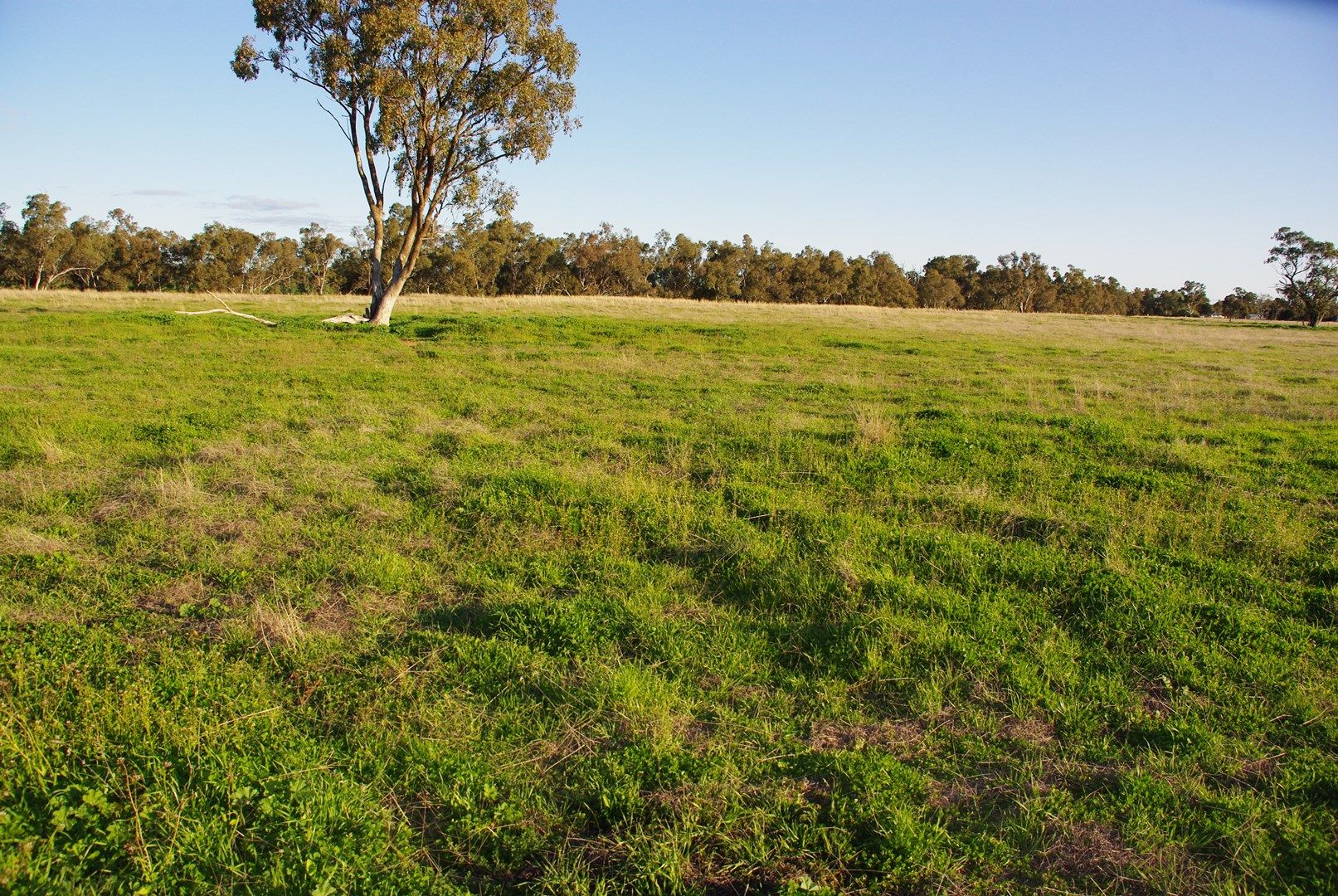 5L Gilgandra Road, Brocklehurst NSW 2830, Image 0