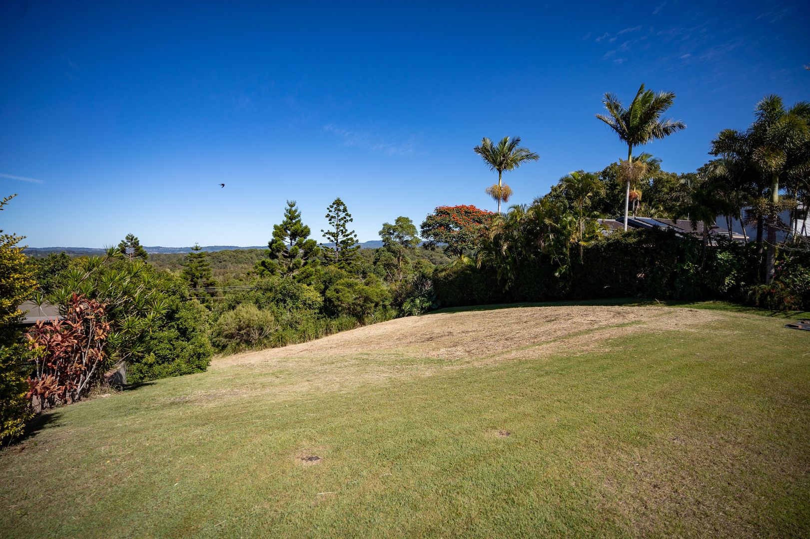 3 Tongarra Drive, Ocean Shores NSW 2483, Image 1