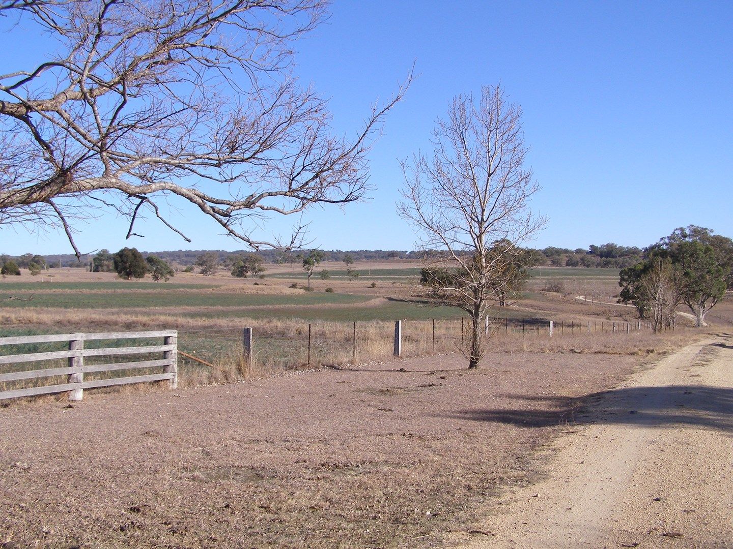 396 Auburn Vale Road, Inverell NSW 2360, Image 0