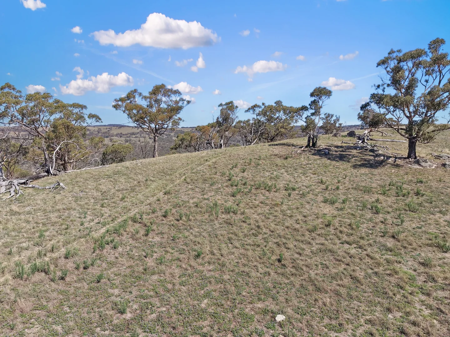 Additional image 17 of 2027 Ophir Road, Rock Forest NSW 2795