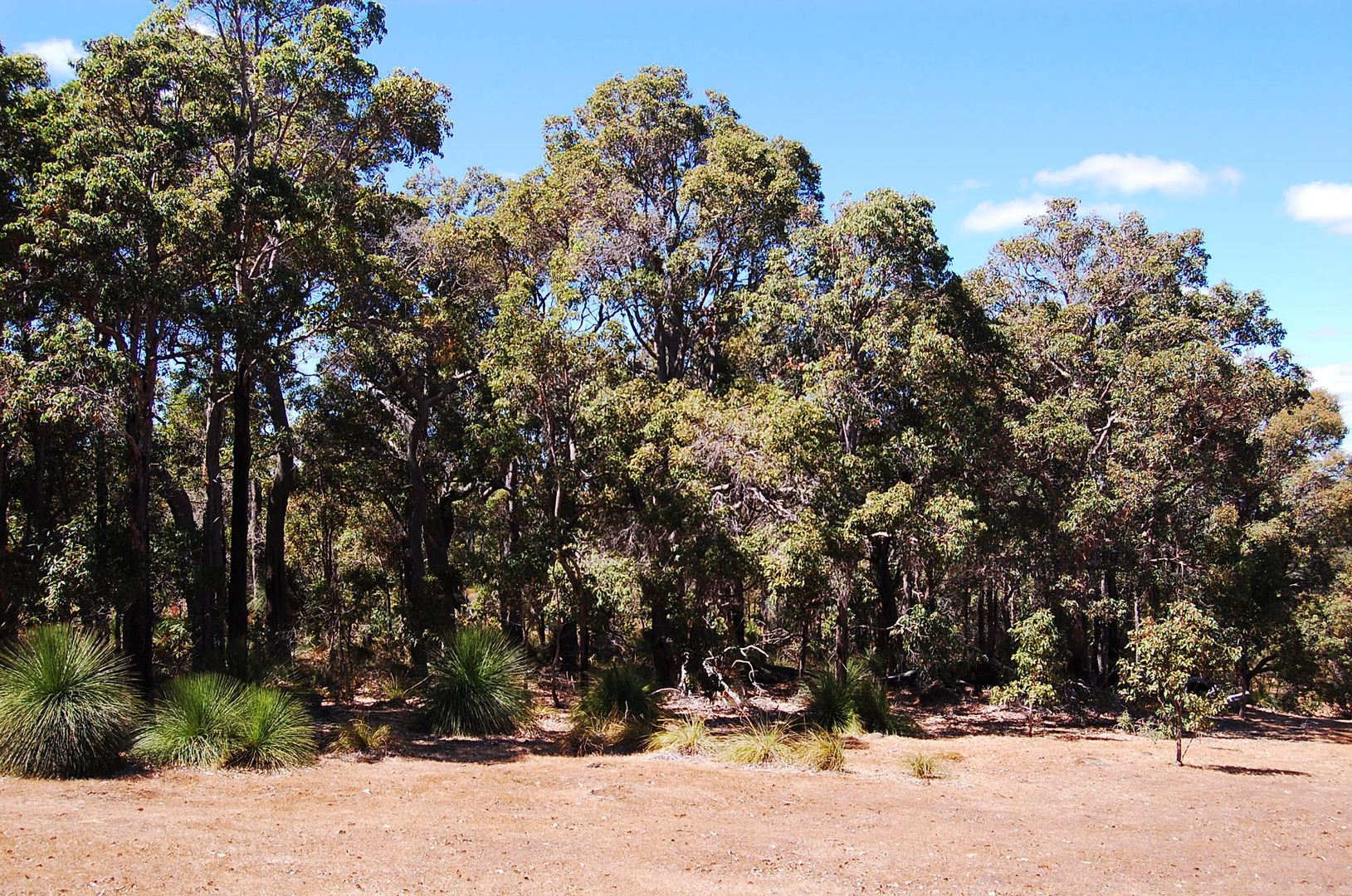 Lot 19 Summerville Crescent, Quindalup WA 6281, Image 1