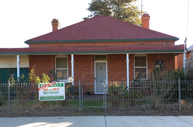 Picture of 44 Allan Street, HENTY NSW 2658