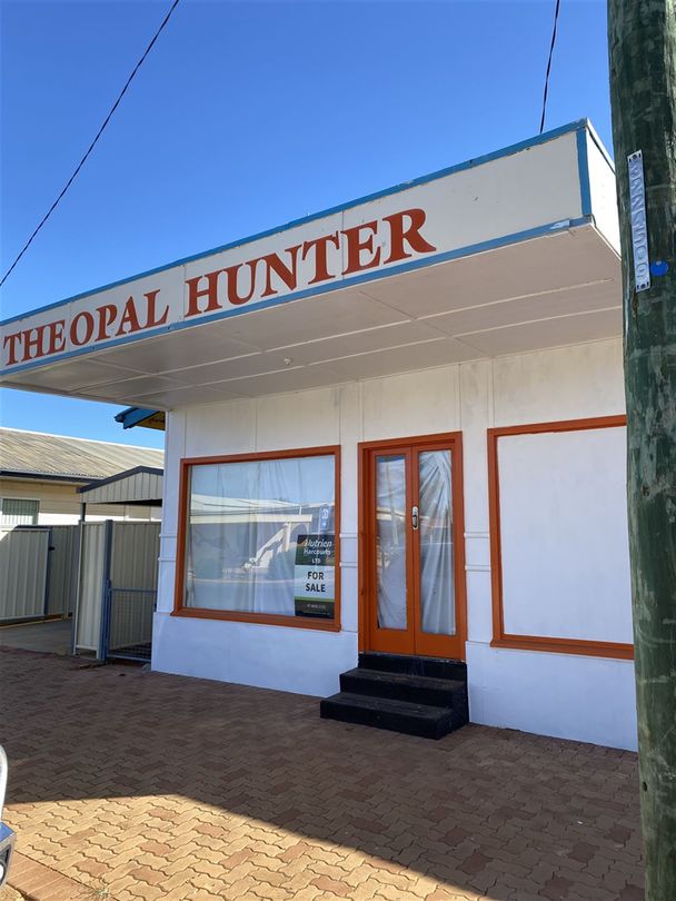 47 Brolga Street, Quilpie QLD 4480 Domain