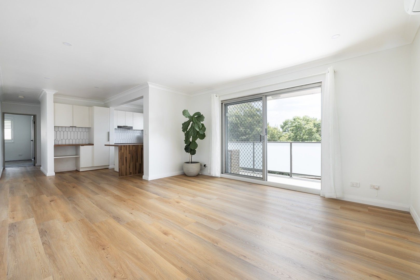 14/34 Gould Avenue, Lewisham NSW 2049 Apartment For Rent Domain