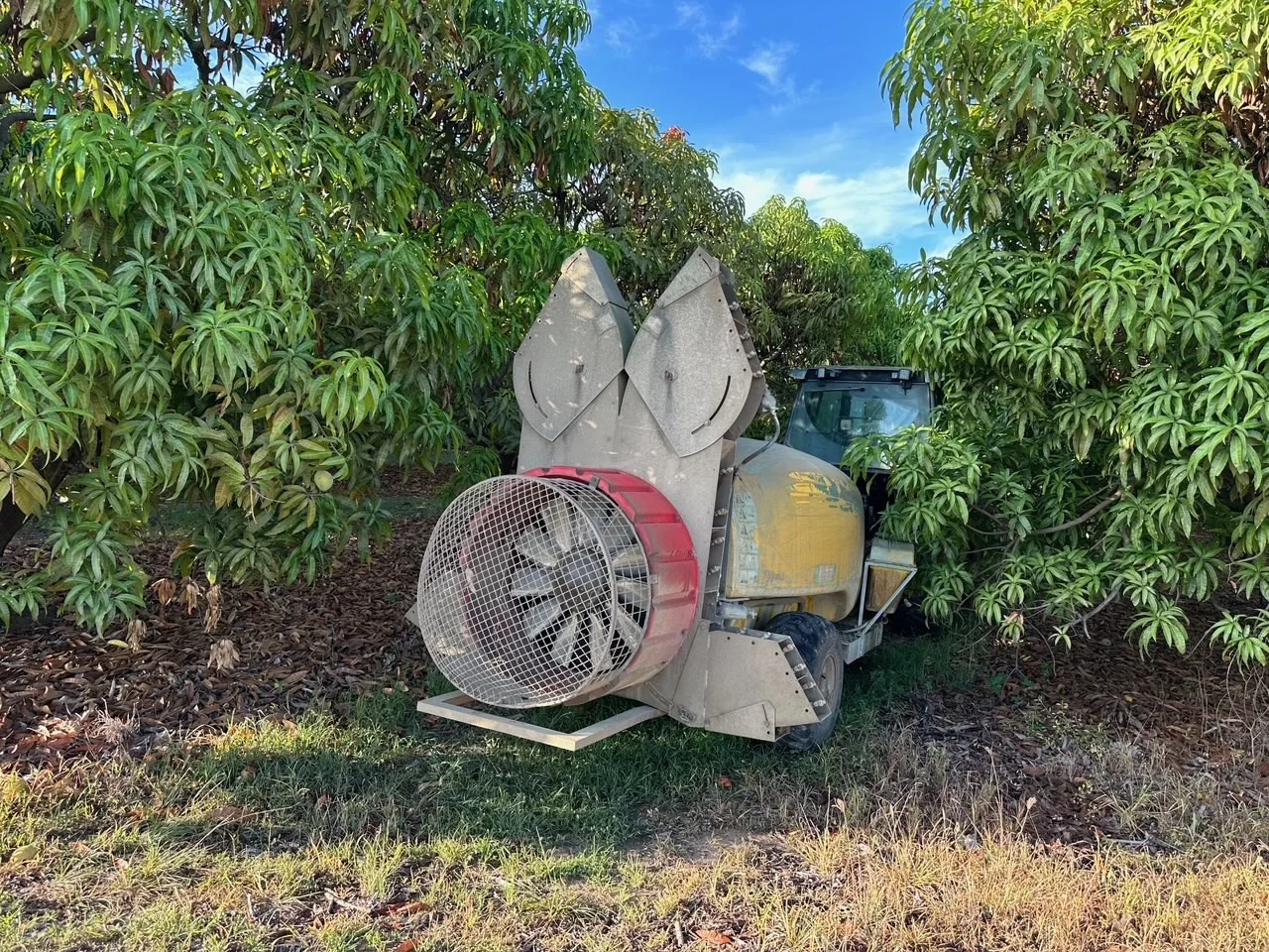 Image 12
