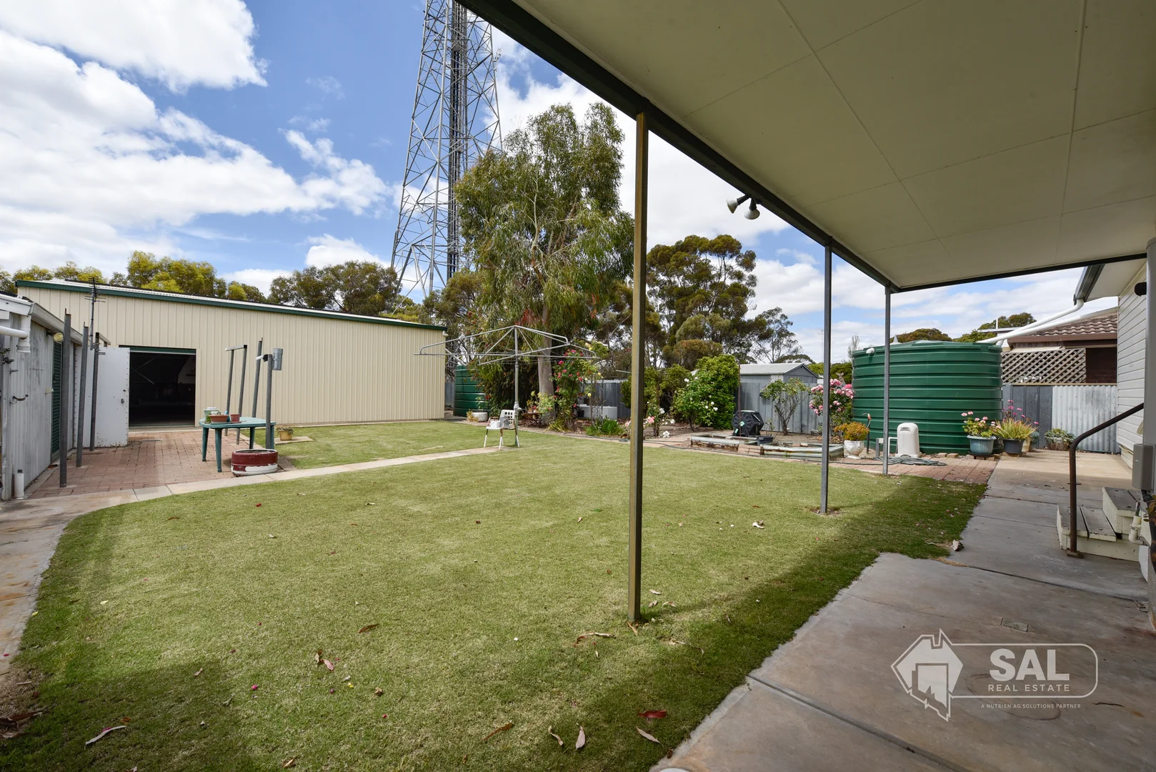 Image 11