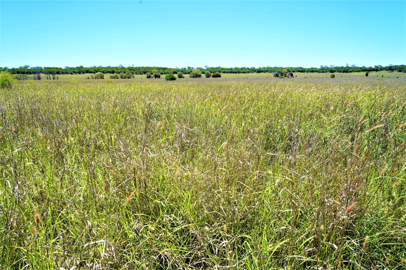 2 bedrooms Rural in 0 Lonesome WARKON QLD, 4417