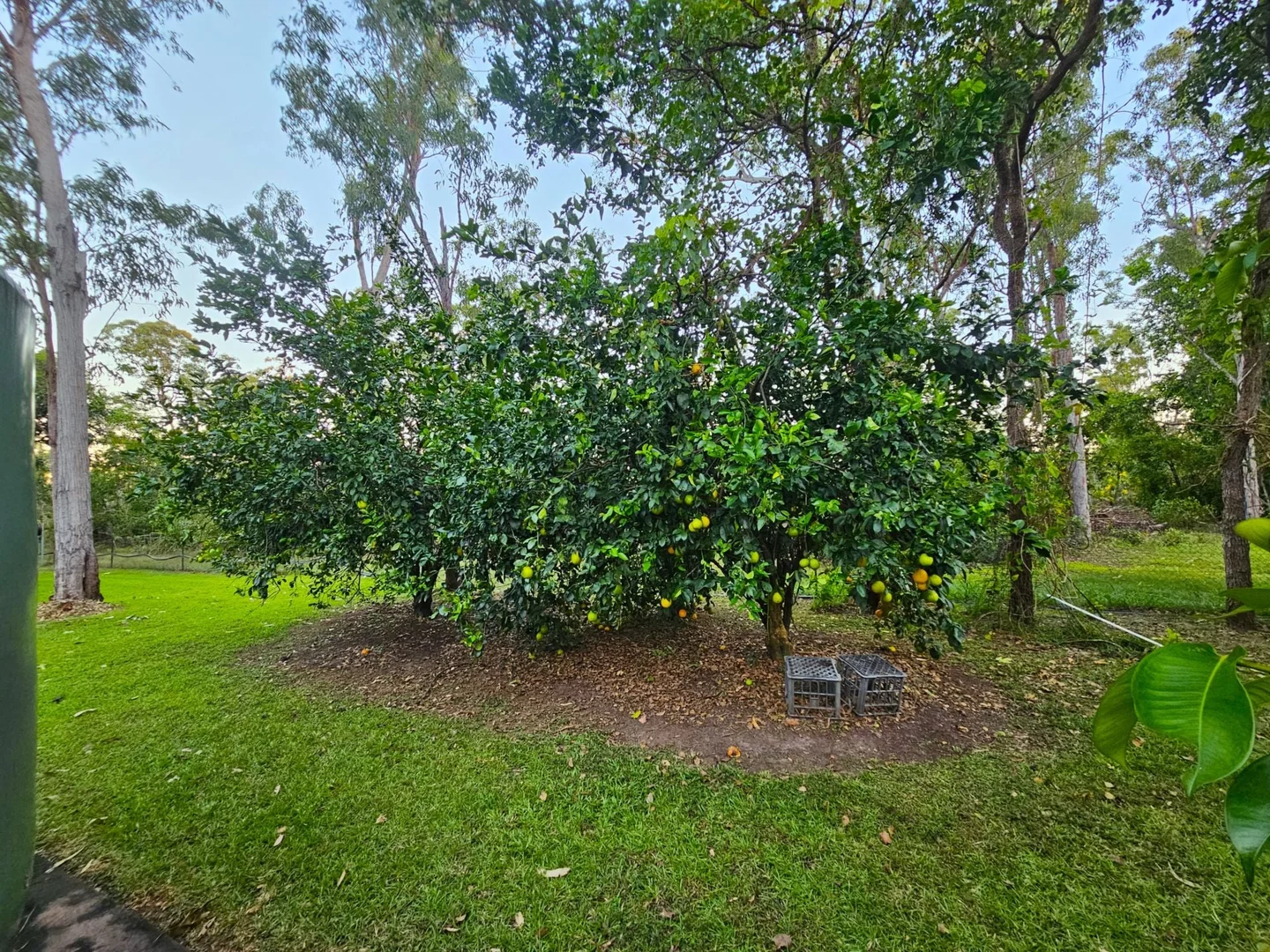 Image 18