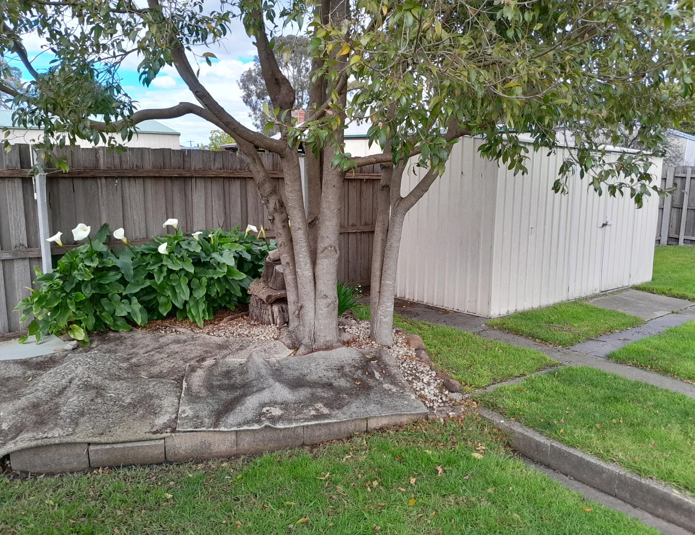 Image 19