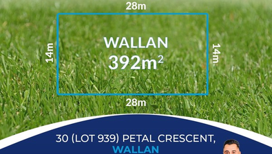 Picture of 30 Petal Crescent, WALLAN VIC 3756