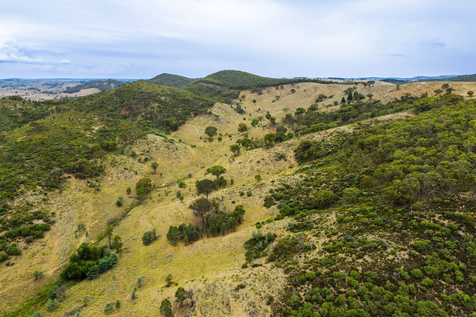 Additional image 30 of 678 Dry Creek Road, Lewis Ponds NSW 2800